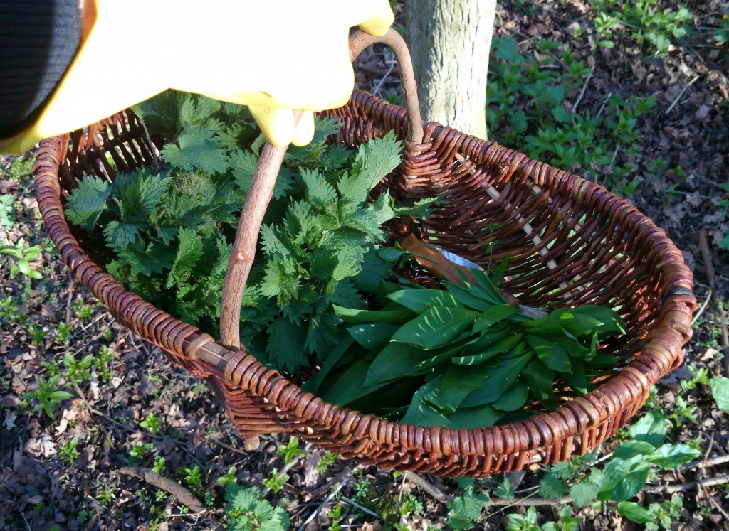Nettles & Wild Garlic in a basket
